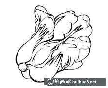 白菜蔬菜簡筆畫教程圖解