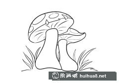 蘑菇簡筆畫圖片分享