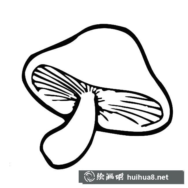 蘑菇簡(jiǎn)筆畫圖片