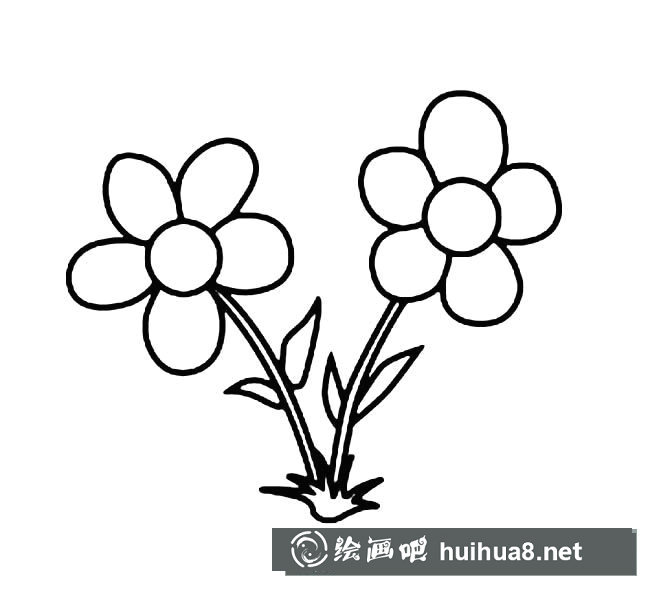 卡通花朵簡筆畫圖片