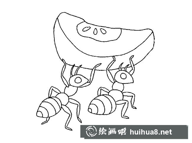 螞蟻簡筆畫圖片
