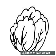 白菜蔬菜簡(jiǎn)筆畫步驟圖解大全