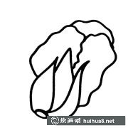 大白菜蔬菜簡(jiǎn)筆畫(huà)步驟圖解大全