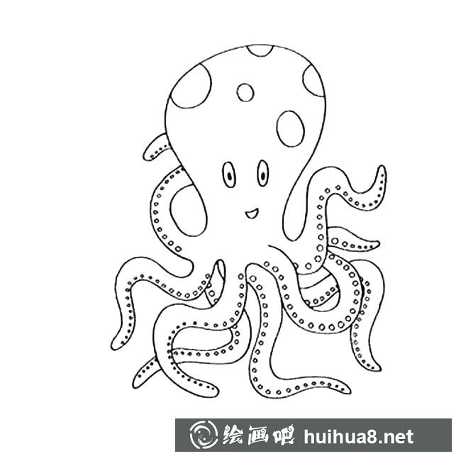 章魚動物簡筆畫步驟圖片大全