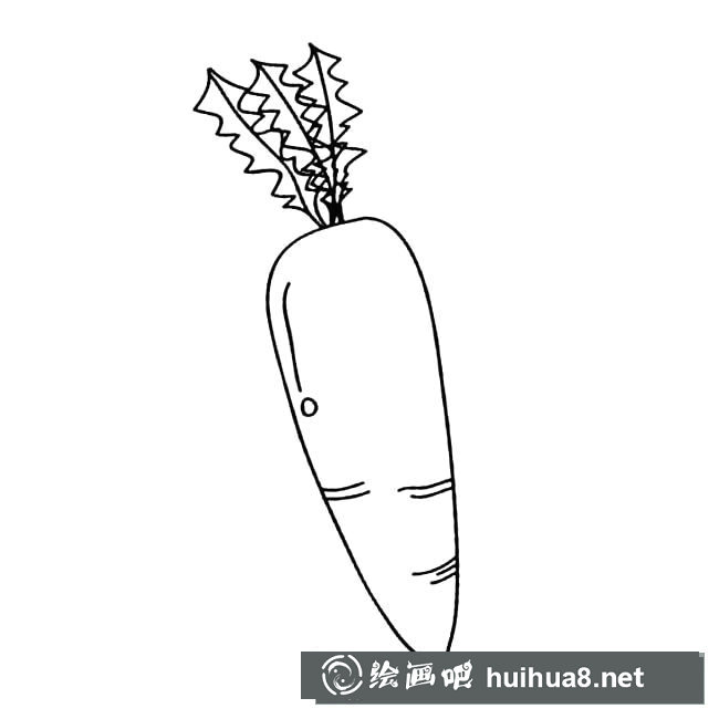 胡蘿卜蔬菜簡筆畫步驟圖片大全