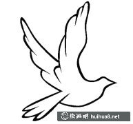 和平鴿簡筆畫教程圖解大全