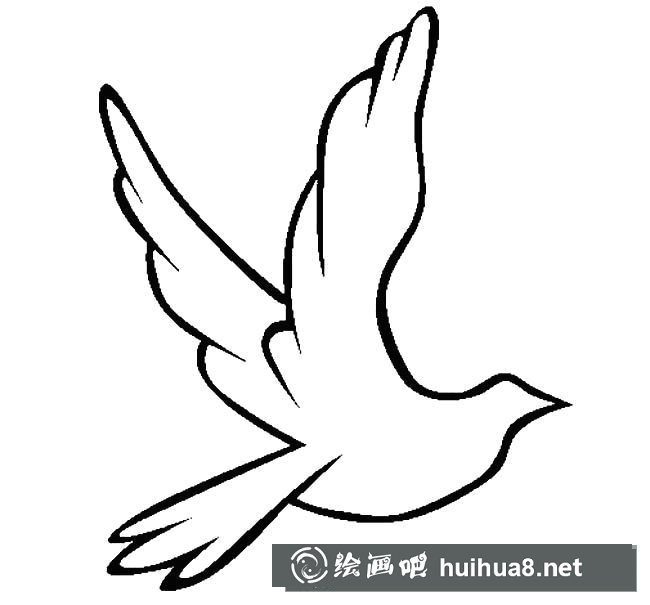 和平鴿動物簡筆畫步驟圖片大全