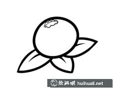藍(lán)梅水果簡(jiǎn)筆畫步驟圖解大全