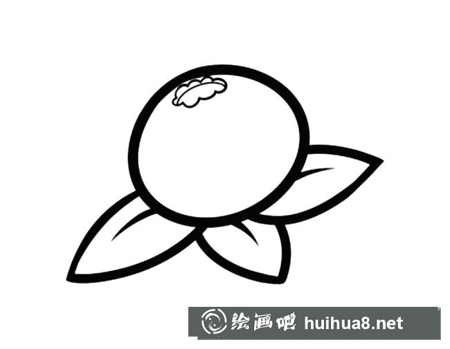 藍梅水果簡筆畫步驟圖片大全