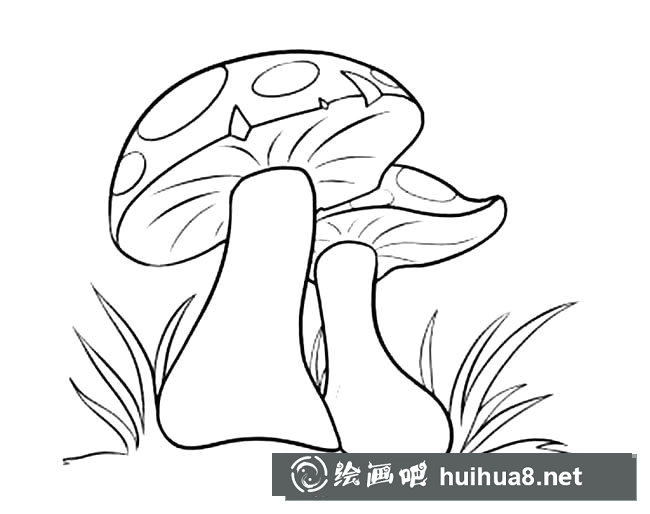 蘑菇蔬菜簡筆畫步驟圖片大全