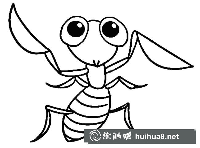 螳螂昆蟲簡筆畫步驟圖片大全