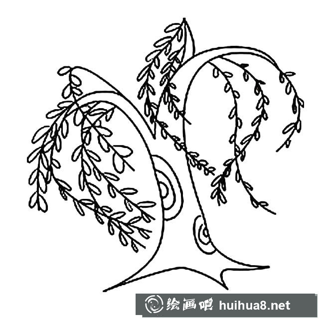 柳樹簡筆畫圖片