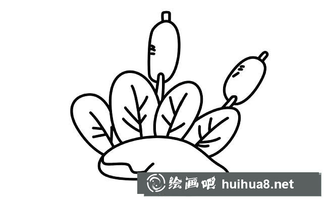 蒲草簡(jiǎn)筆畫圖片
