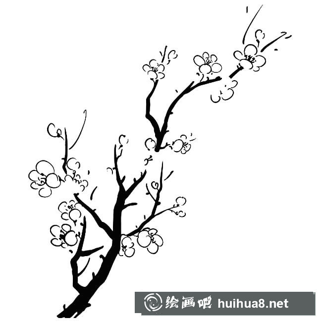 梅花簡筆畫圖片