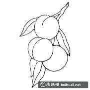 桃子簡(jiǎn)筆畫圖片分享
