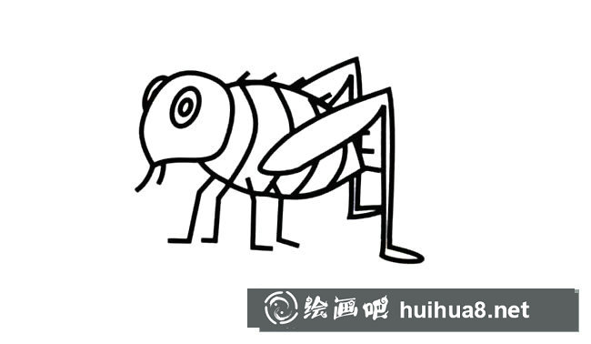 跳蚤簡(jiǎn)筆畫圖片