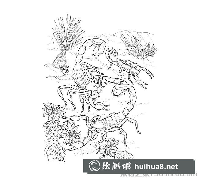 三只蝎子簡筆畫圖片