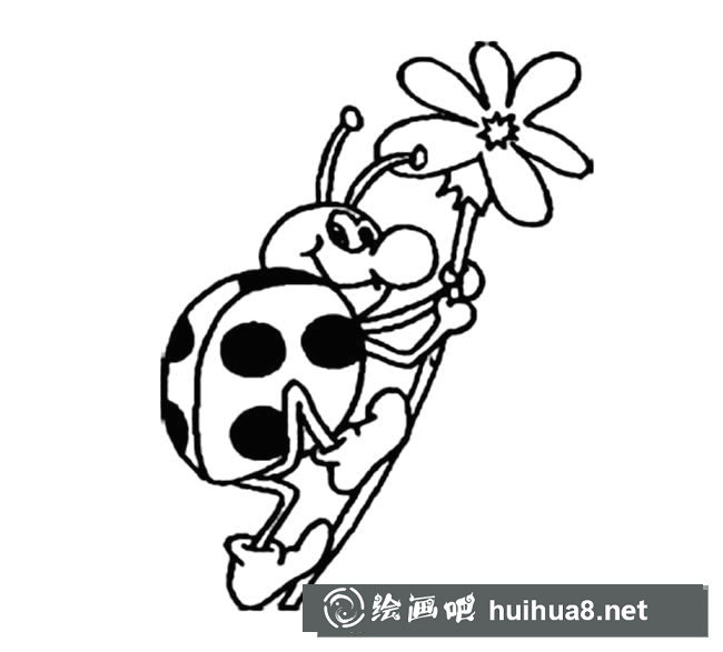 卡通七星瓢蟲簡筆畫