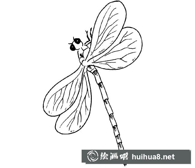 竹蜻蜓簡筆畫圖片