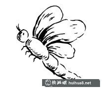 手繪大蜻蜓美圖欣賞