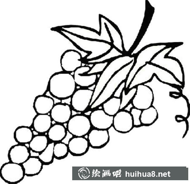 一串葡萄簡筆畫步驟圖片大全