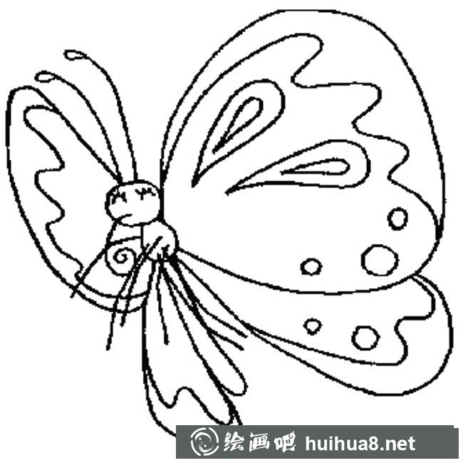 蝴蝶簡(jiǎn)筆畫步驟圖片大全