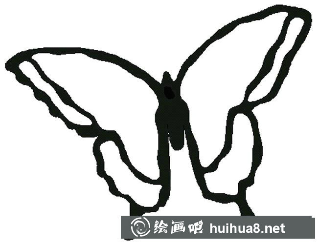 蝴蝶簡筆畫步驟圖片大全