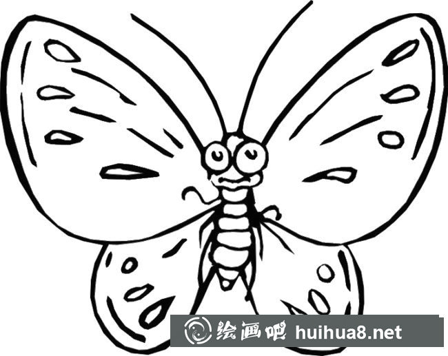 蝴蝶簡筆畫步驟圖片大全