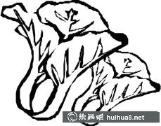 青菜簡(jiǎn)筆畫步驟圖解大全
