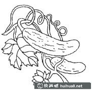 黃瓜簡(jiǎn)筆畫(huà)步驟圖解大全