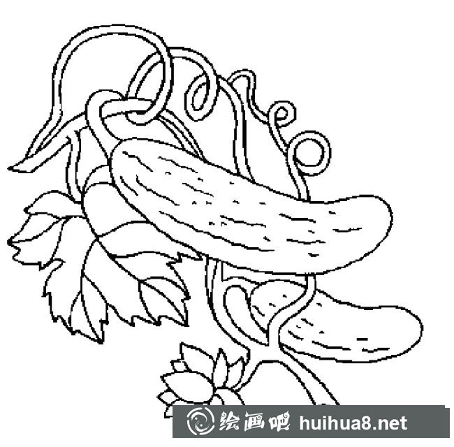 黃瓜簡筆畫