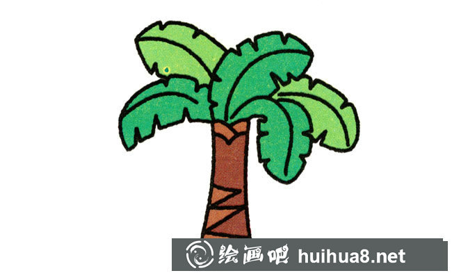 芭蕉樹簡筆畫步驟圖片大全
