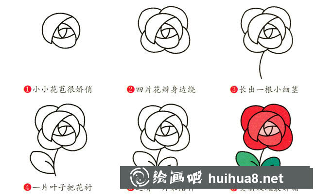 玫瑰花簡筆畫步驟圖片大全