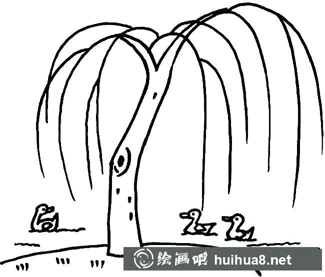 河邊柳樹植物簡筆畫步驟圖片大全