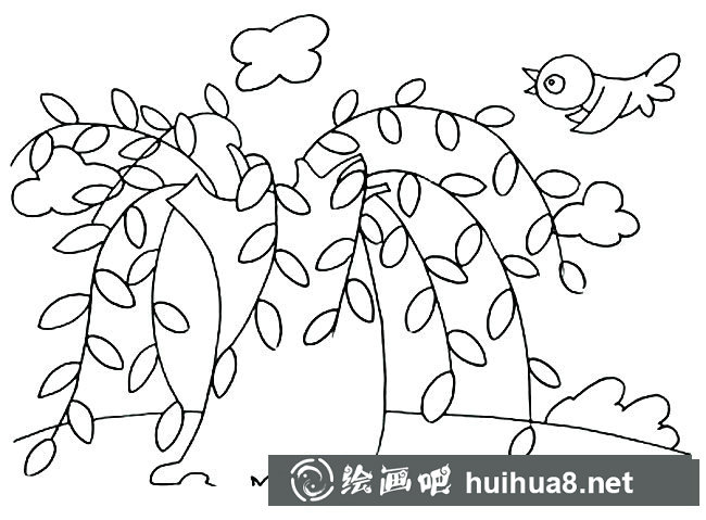 柳樹植物簡筆畫步驟圖片大全