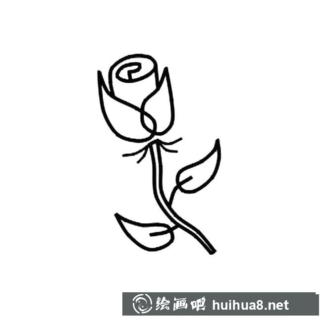 玫瑰花植物花簡筆畫步驟圖片大全