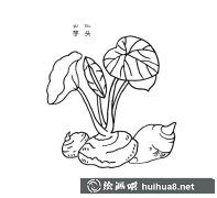 芋頭蔬菜簡(jiǎn)筆畫(huà)步驟圖解大全