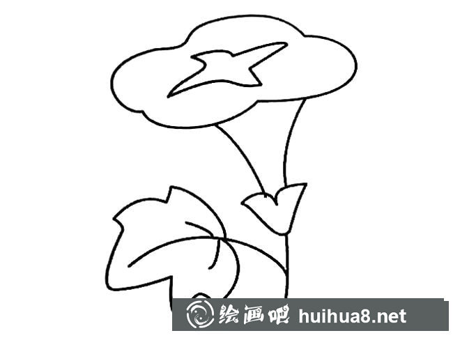 牽牛花植物花簡筆畫步驟圖片大全二