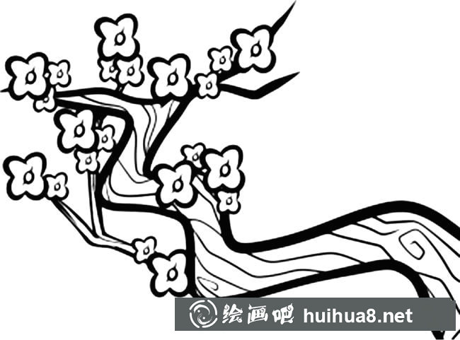 梅花植物花簡(jiǎn)筆畫(huà)步驟圖片大全
