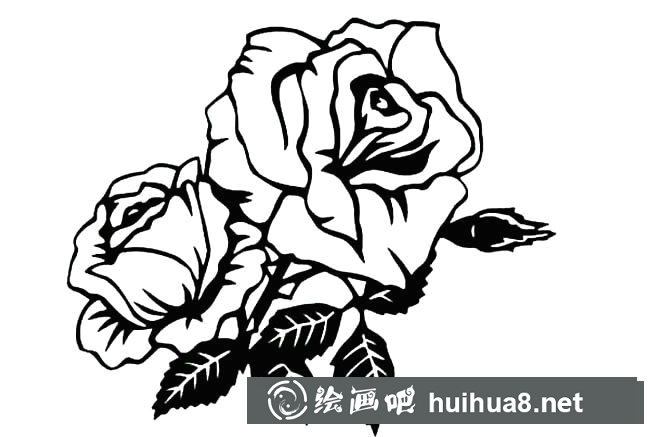 月季花植物花簡筆畫步驟圖片大全