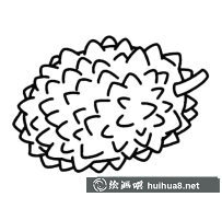 榴蓮水果簡(jiǎn)筆畫步驟圖集