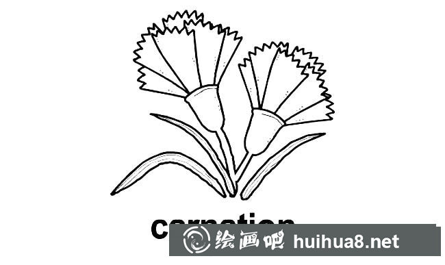 杜鵑花植物花簡筆畫步驟圖片大全