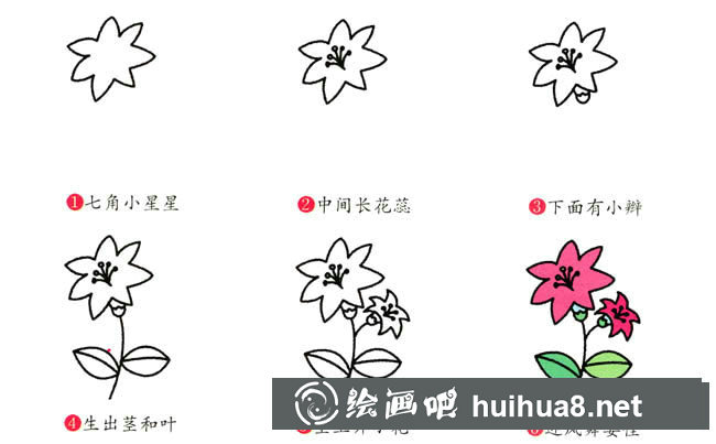 百合花植物花簡(jiǎn)筆畫(huà)步驟圖片大全