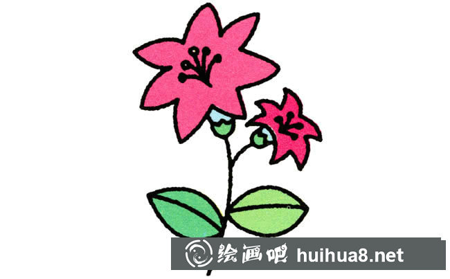 百合花植物花簡(jiǎn)筆畫(huà)步驟圖片大全