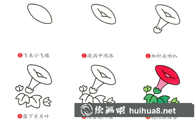 牽牛花植物花簡(jiǎn)筆畫步驟圖片大全五