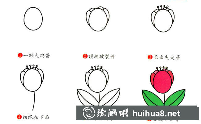 郁金香植物花簡(jiǎn)筆畫步驟圖片大全