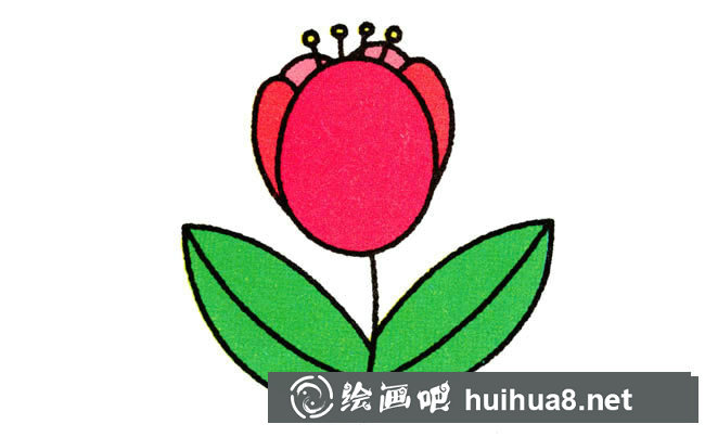 郁金香植物花簡(jiǎn)筆畫步驟圖片大全