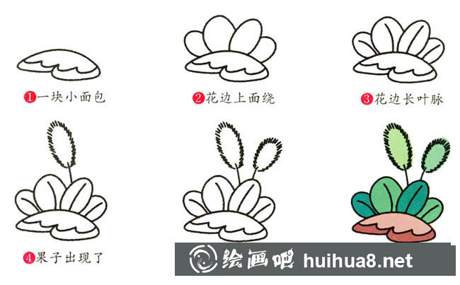 狗尾草植物花簡筆畫步驟圖