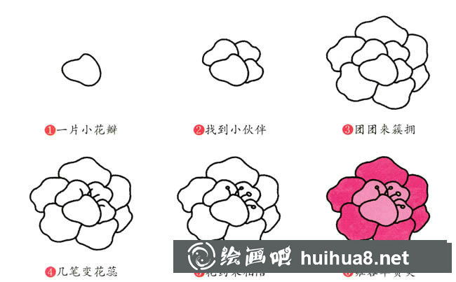 牡丹花植物花簡筆畫步驟圖片大全