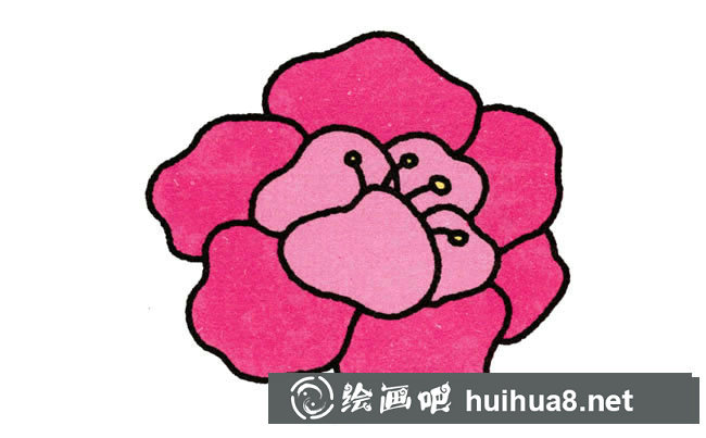 牡丹花植物花簡筆畫步驟圖片大全